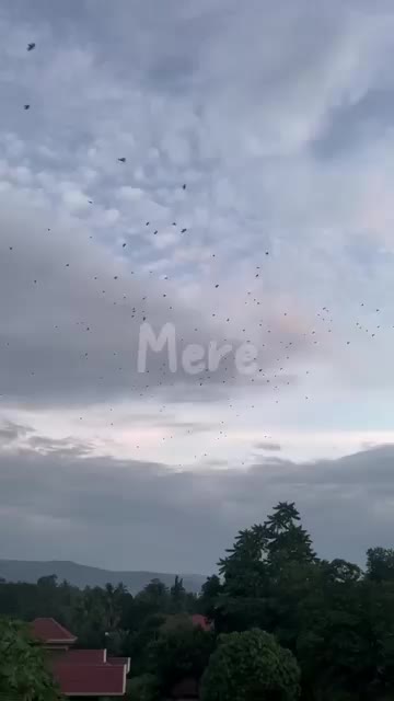 @𝕤𝕒𝕓𝕒 𝕤𝕙𝕖𝕚𝕜𝕙 ♉