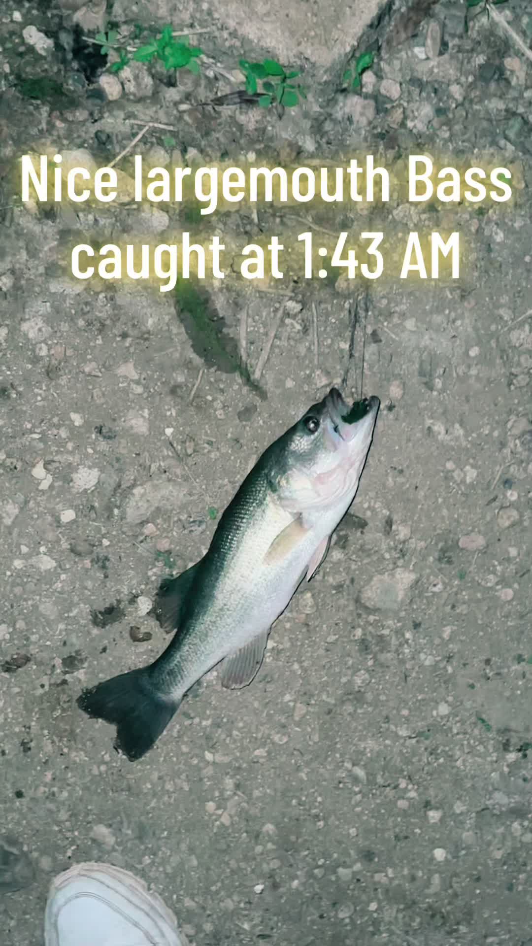 @Offwhite_benny