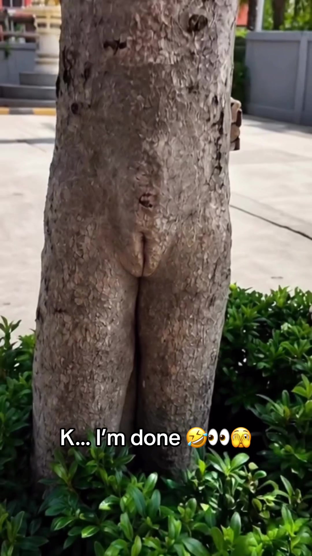 @Sheet_Cake