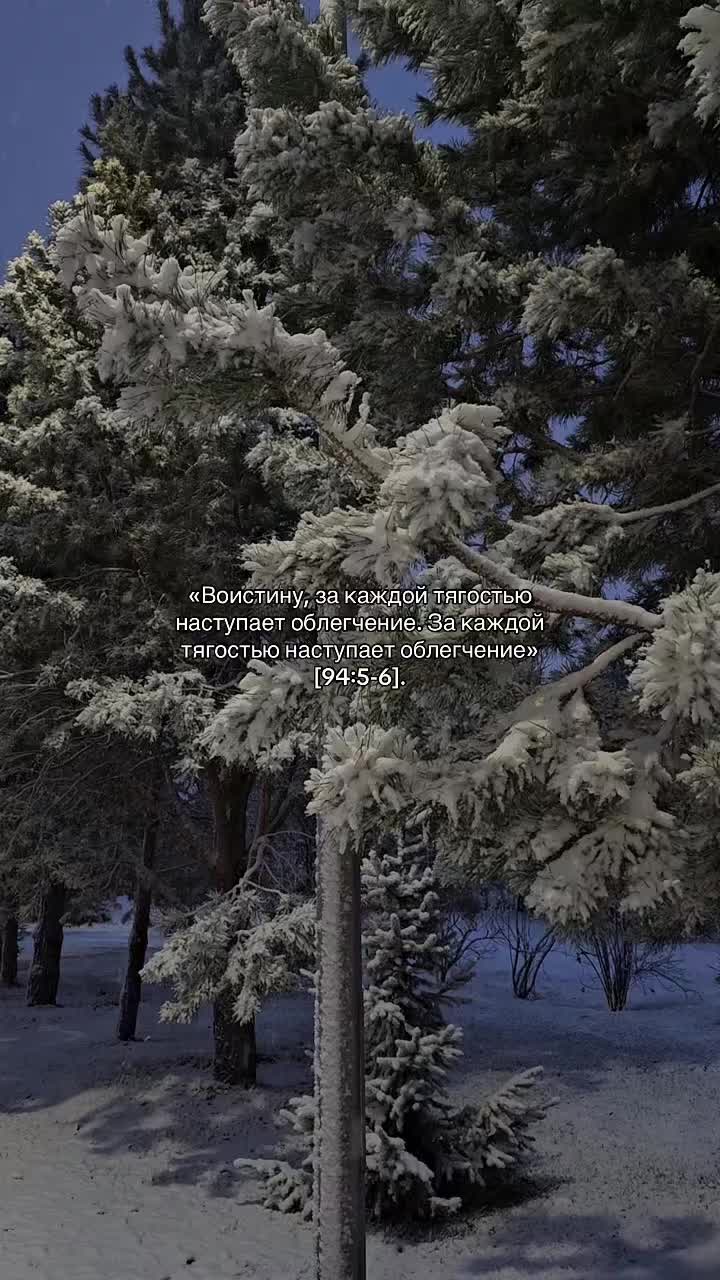 @🤍