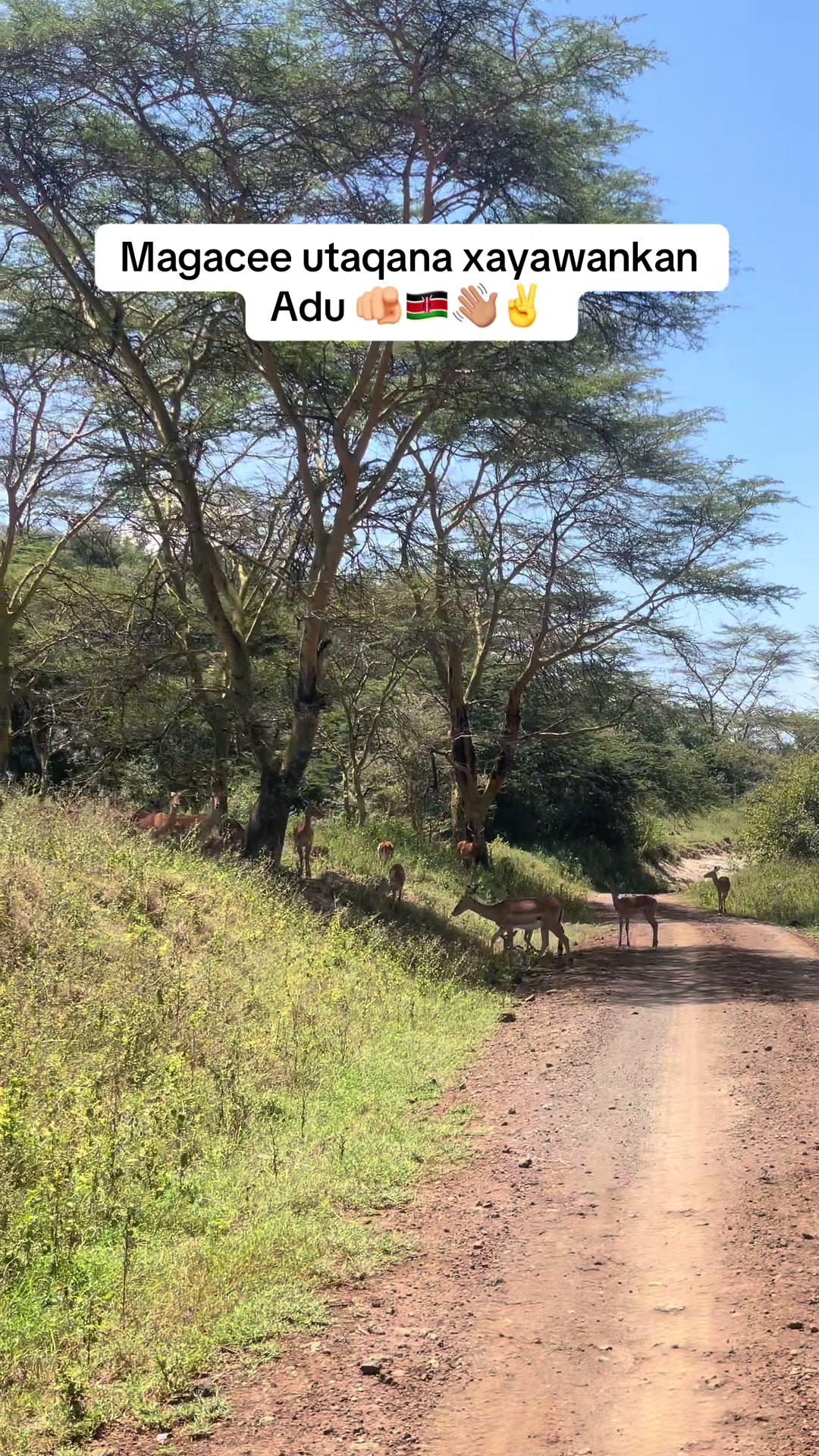 @Fetarka Nakuru ๐ฐ๐ชโผ๏ธ