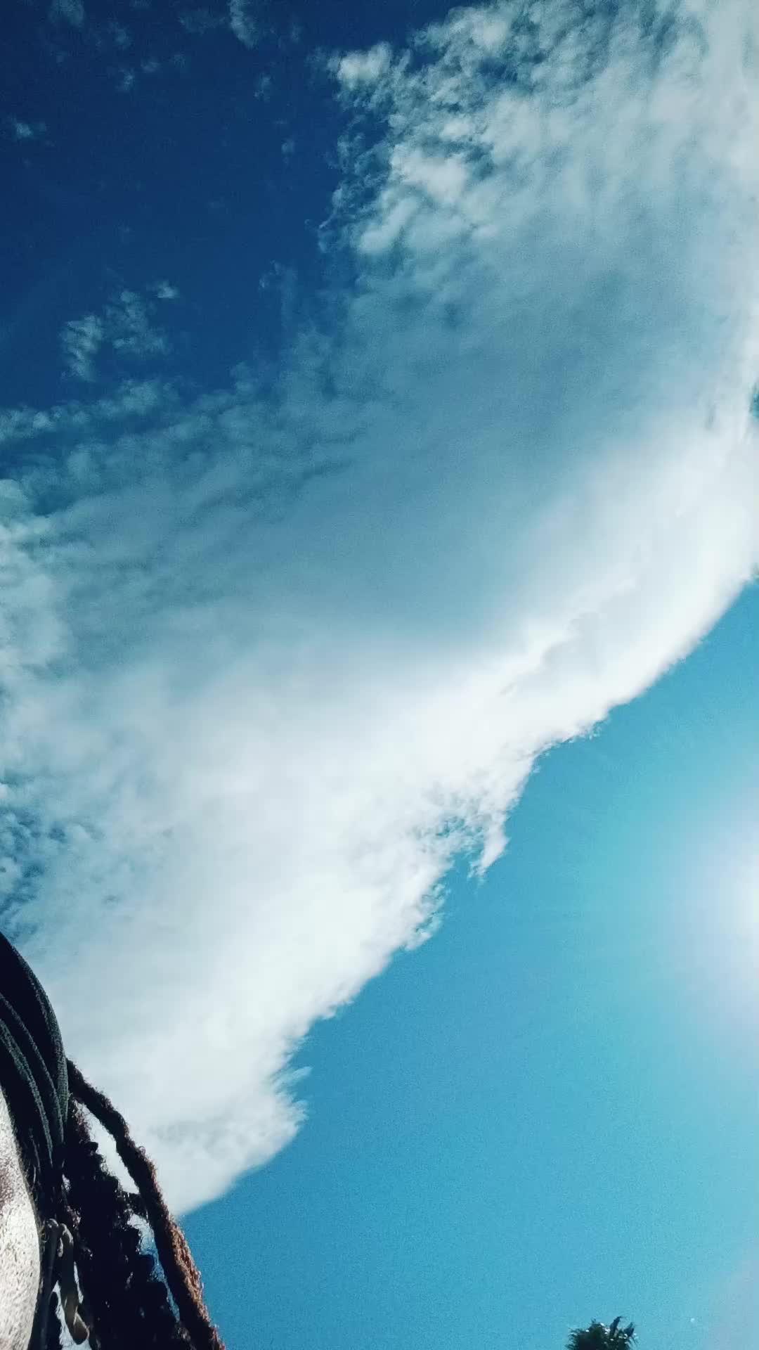 @YoDaddySaidHeyBoo