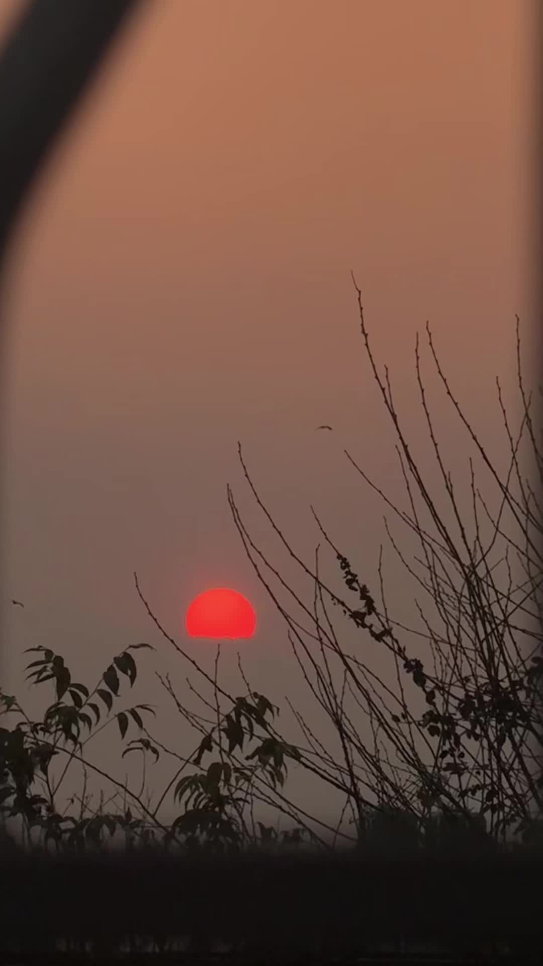 @lama47