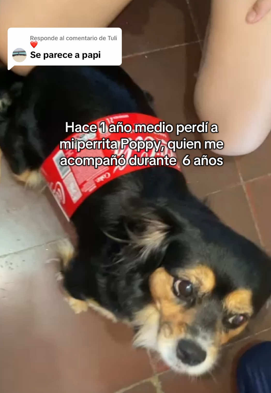 @Adriana Abraham