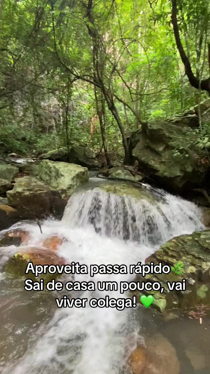 @Thay Soares