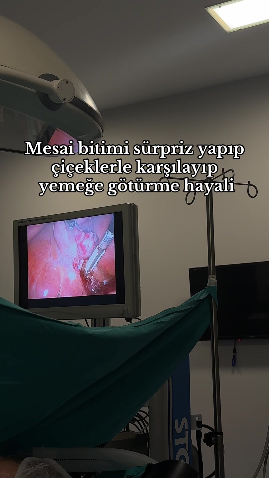 @Aynurkcl