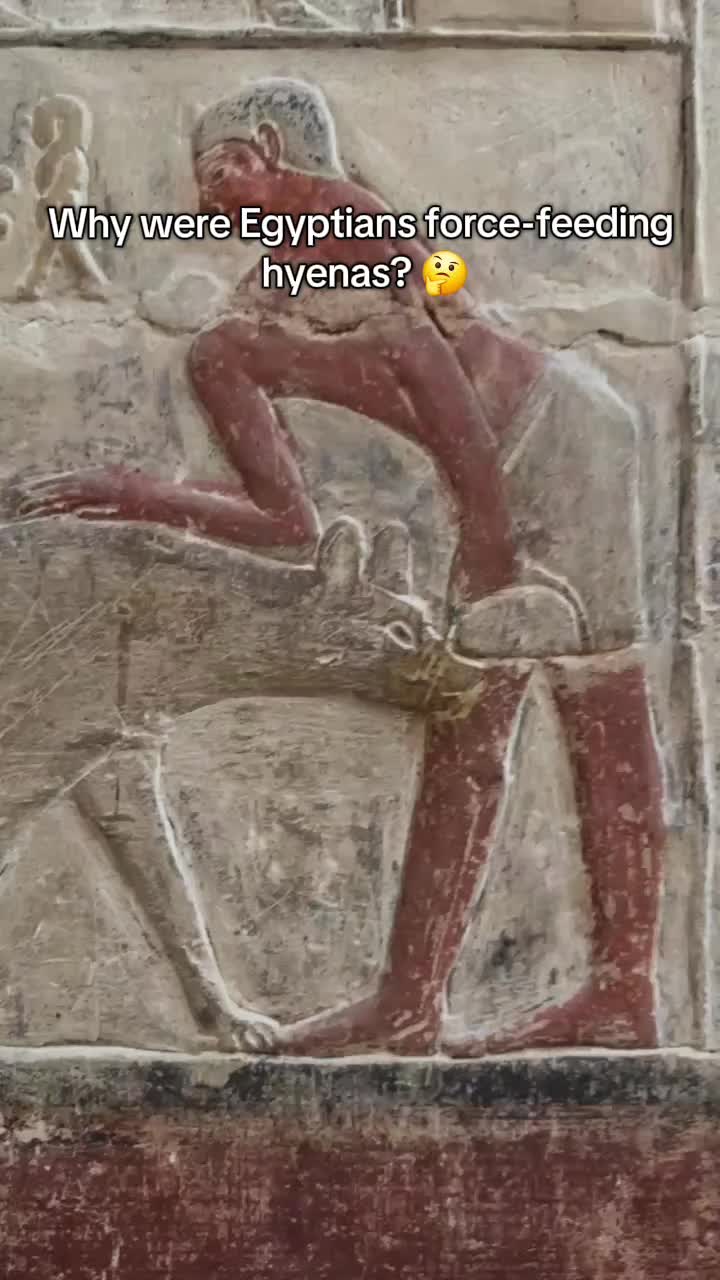 @Unlock Egypt Tours