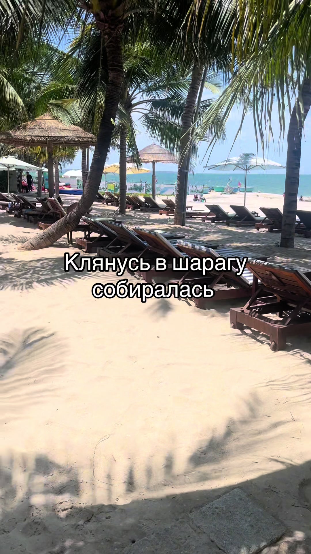 @Тгк: Таета представляет