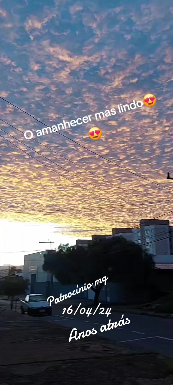 @aparecidamachado303