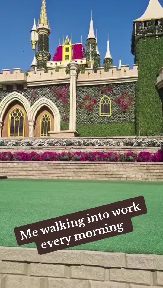 @Tasso 🇬🇧 🇦🇪 🇸🇾