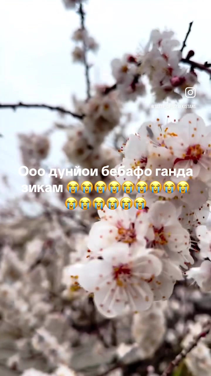 @ДУХТАР БА НОЗ