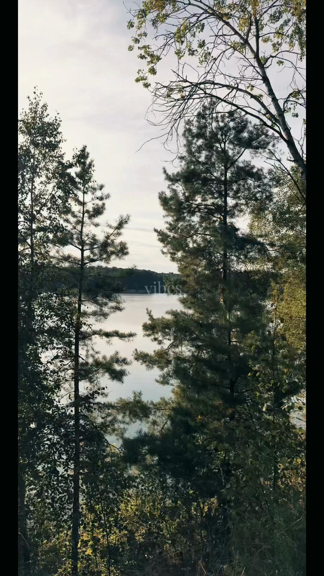 @Лиза Полякова