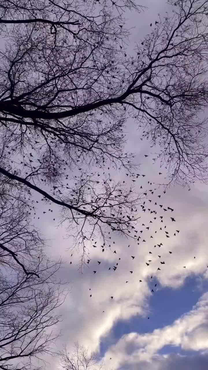 @KifleZul46
