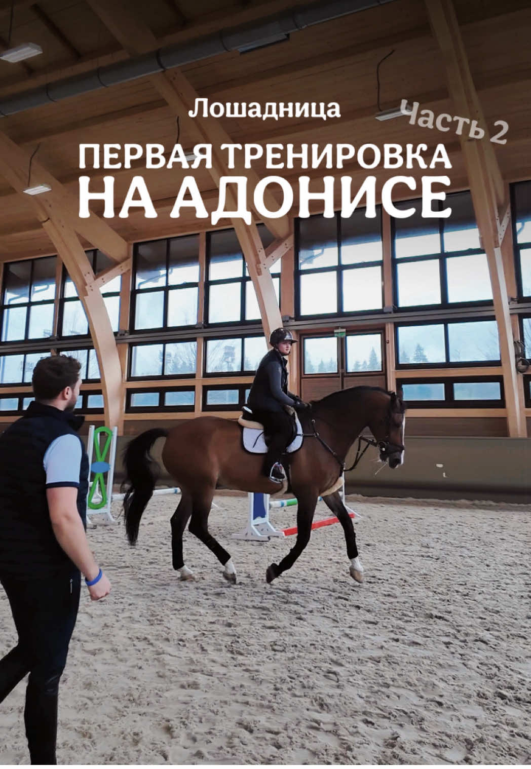 @Лошадница