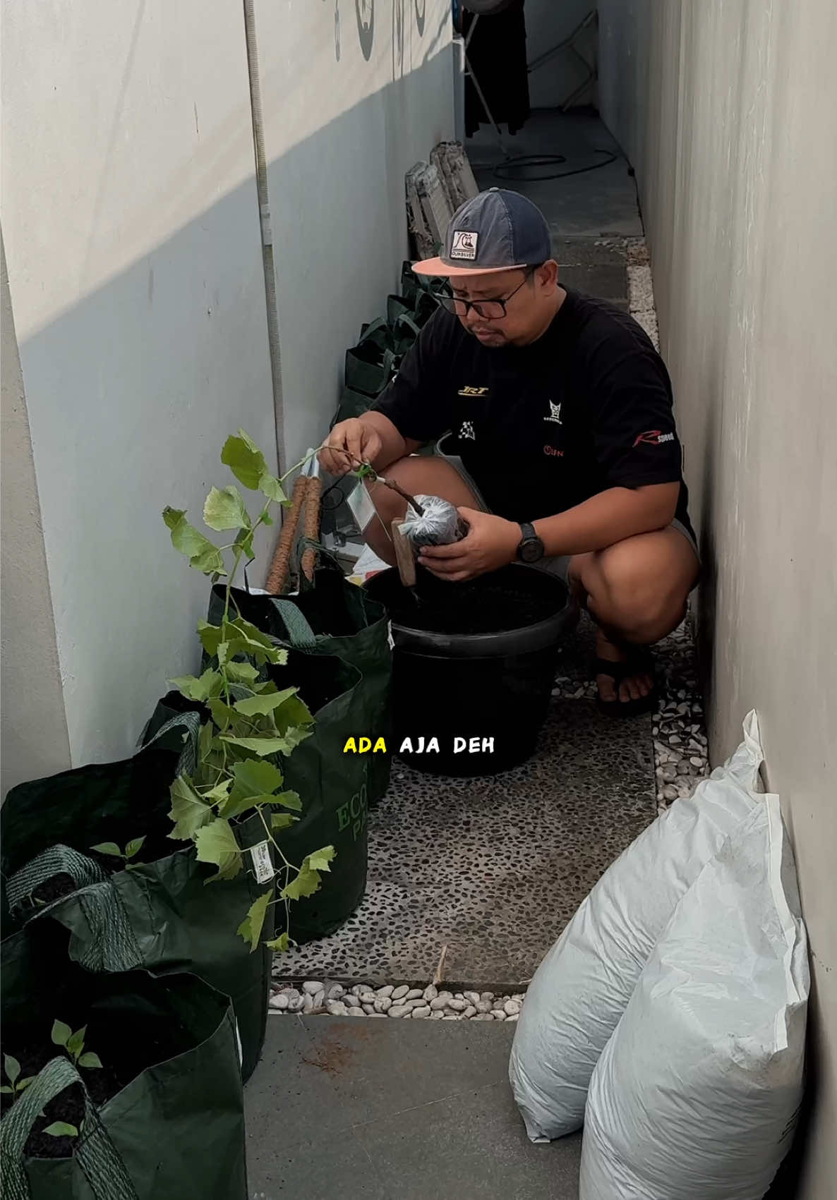 @sebentarsinggah
