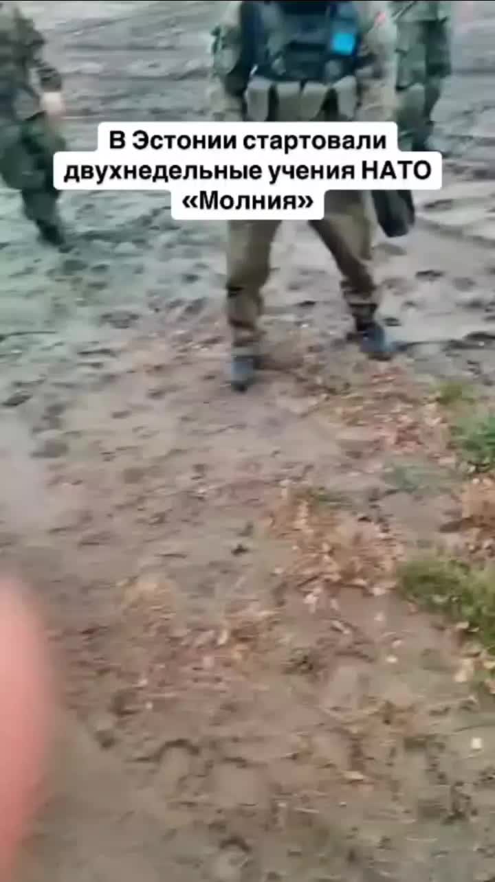 @серый