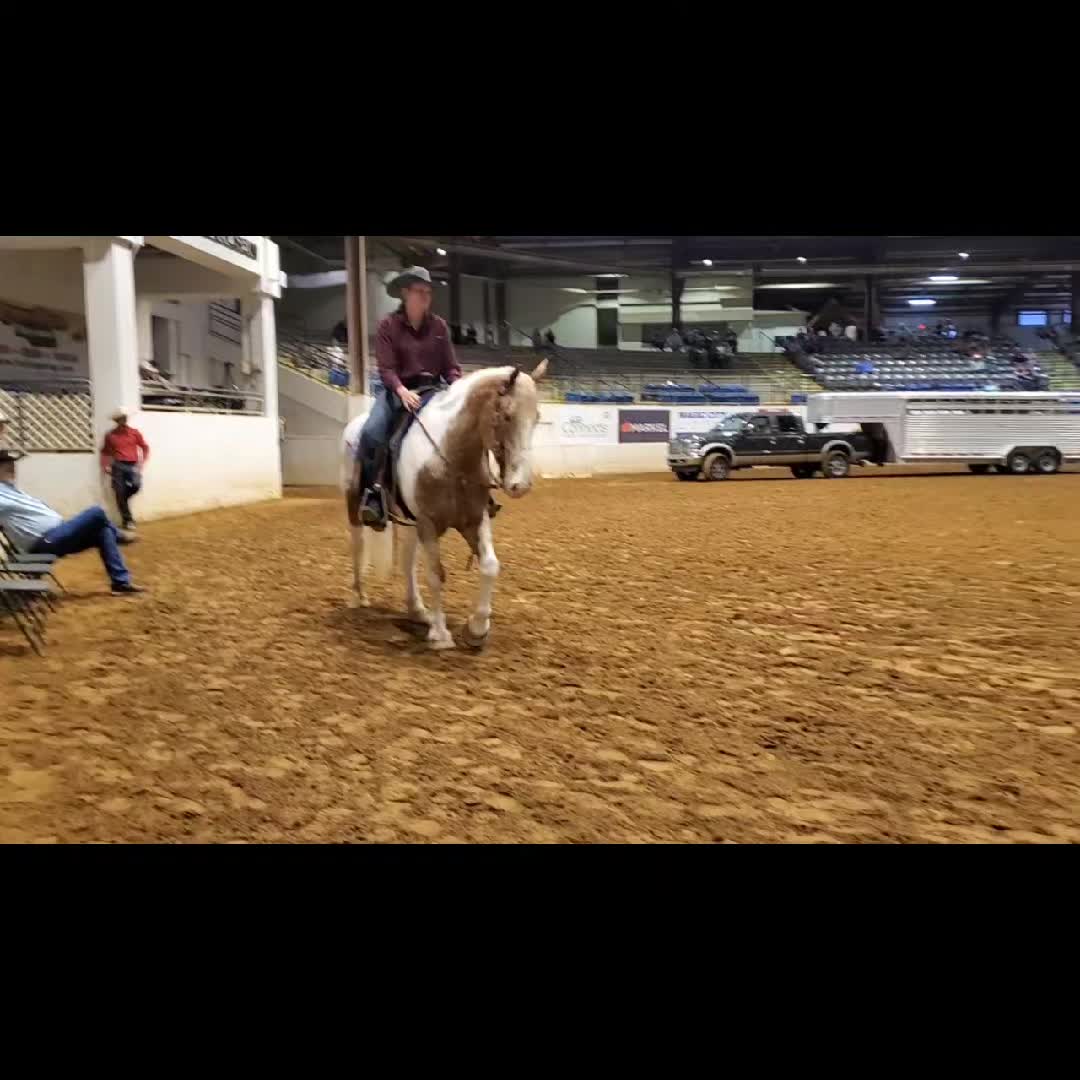 @CircleHEquineSalesLLC