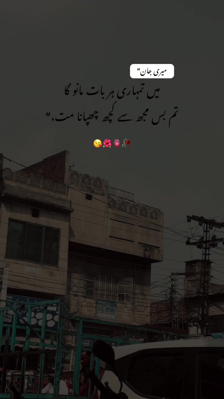 @>پاگل ہو <🦋