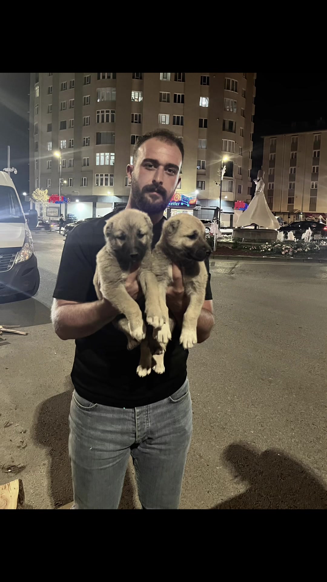 @🇹🇷Sivas Kangal Köpeği 🇹🇷