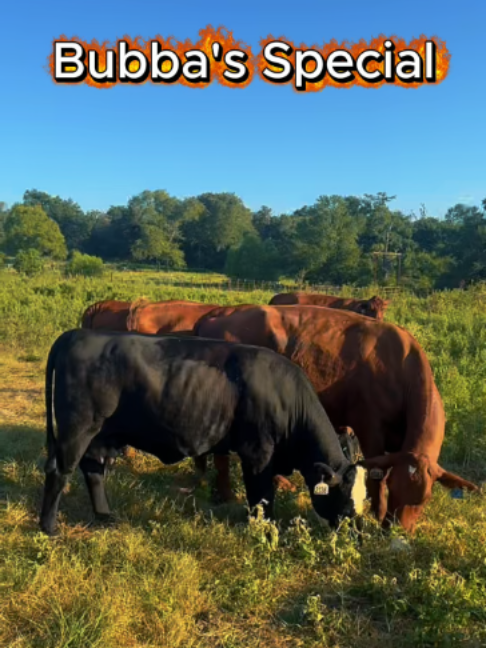 @Rutherford Land and Cattle