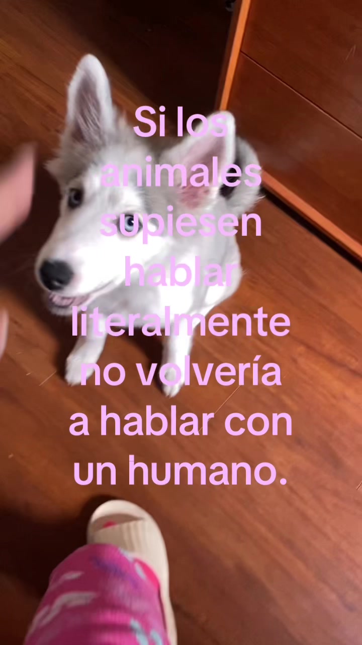 @𝖙𝖎𝖓𝖆