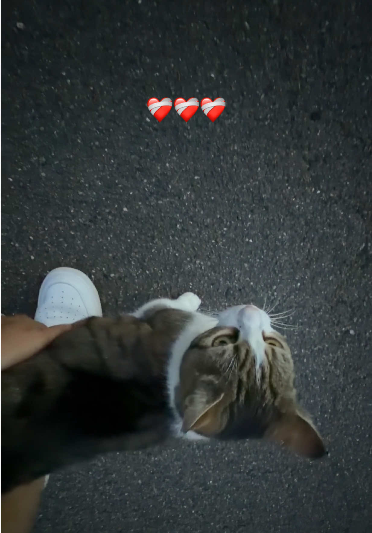 @_adrian918_