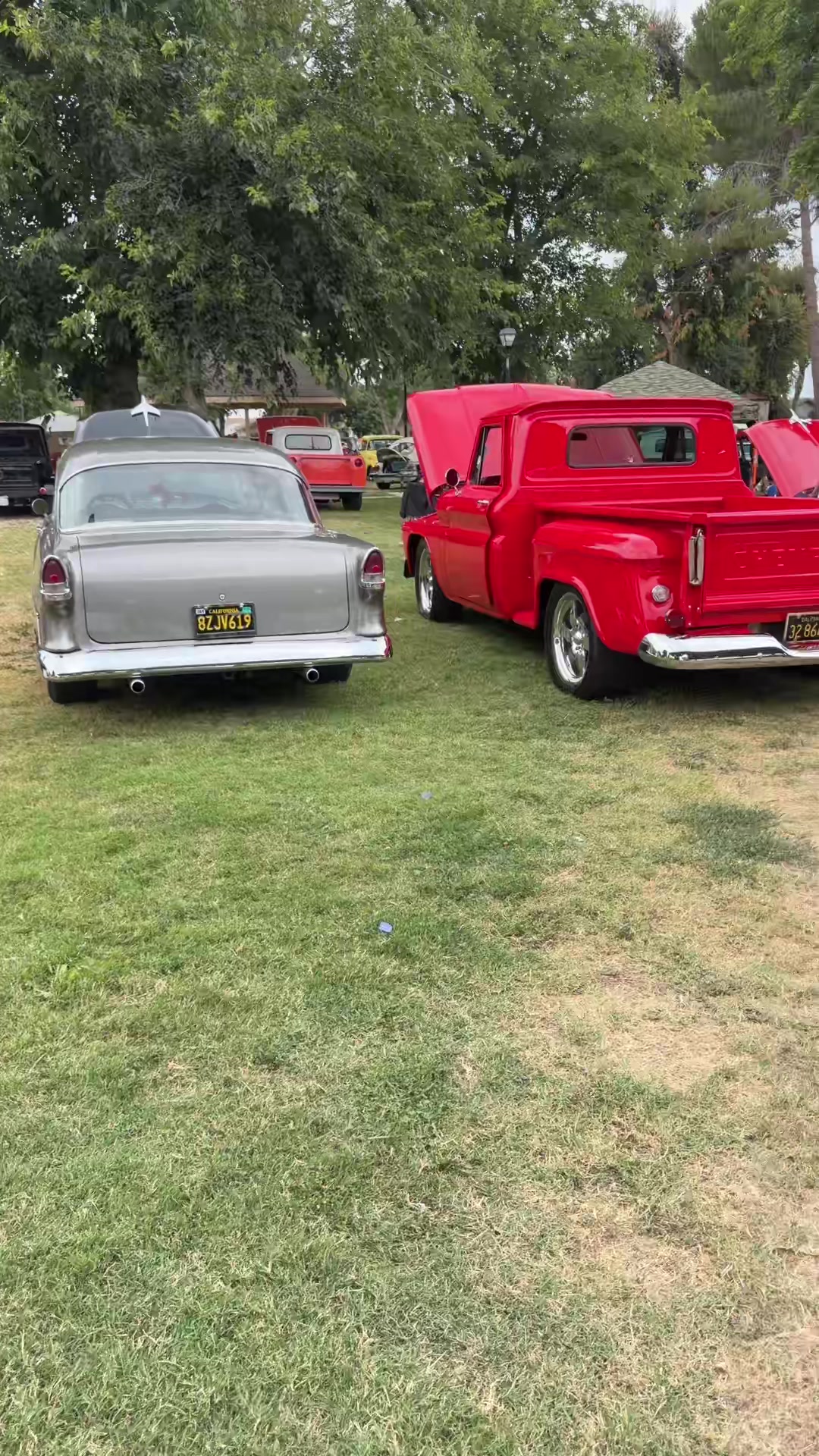 @78_chino