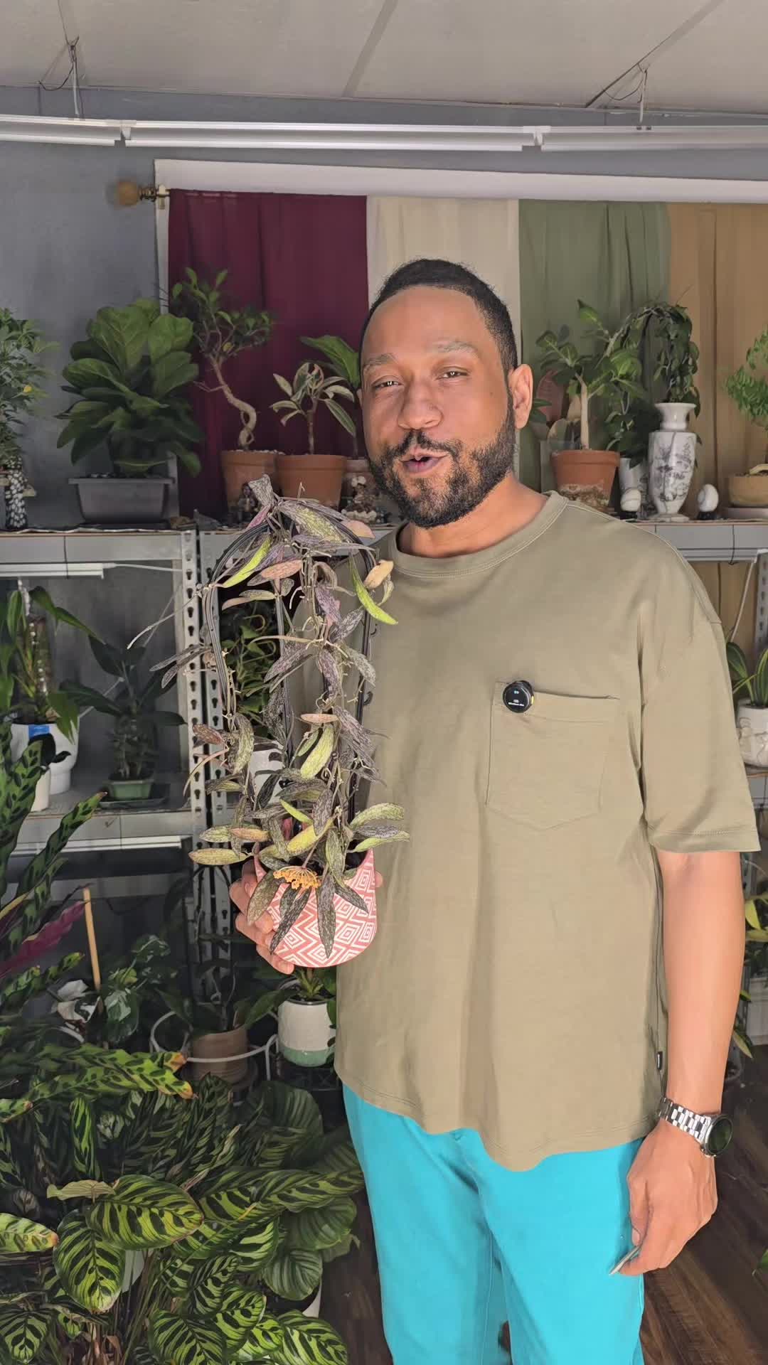 @JT - BigEGOPlants