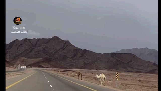 @حساب قناة عابر سبيل♧( الرسمي)