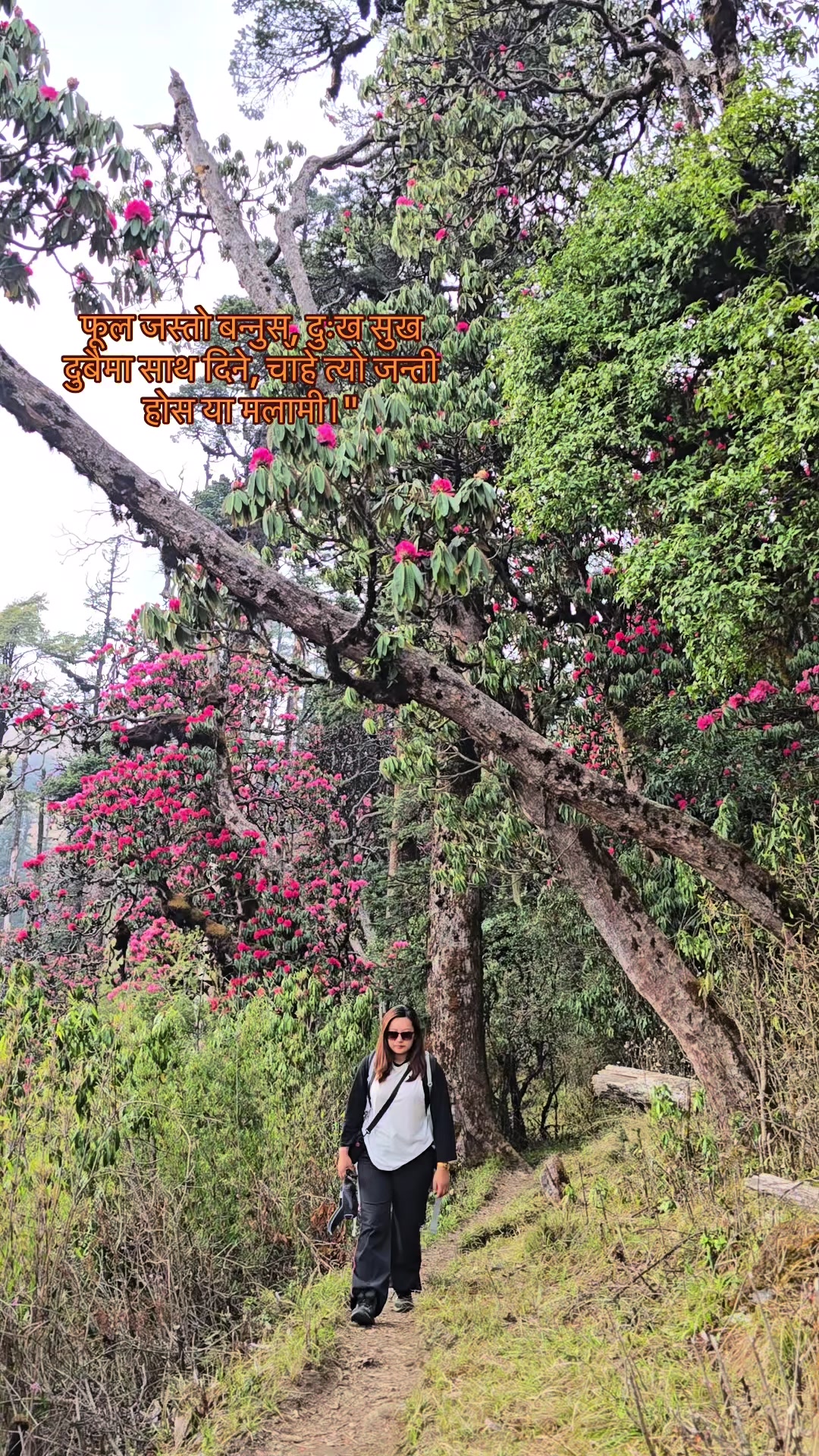 @Travel_with_Puja