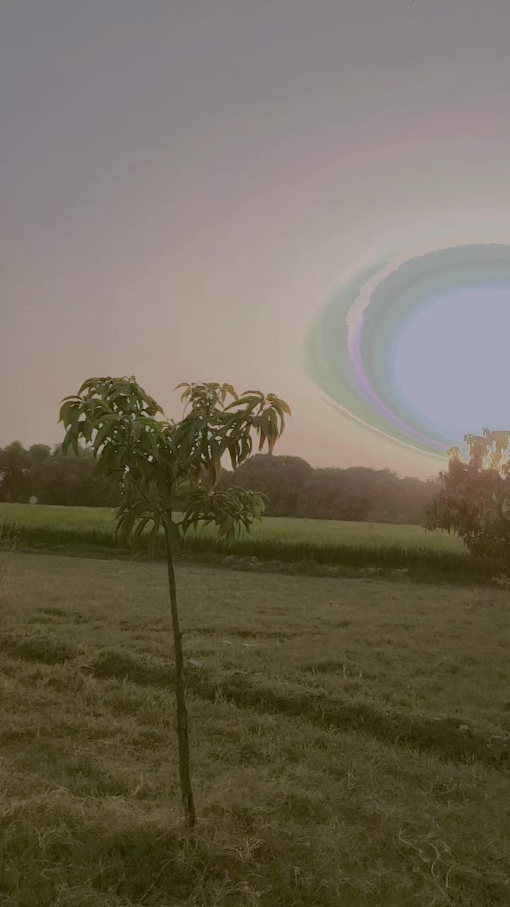 @Moon