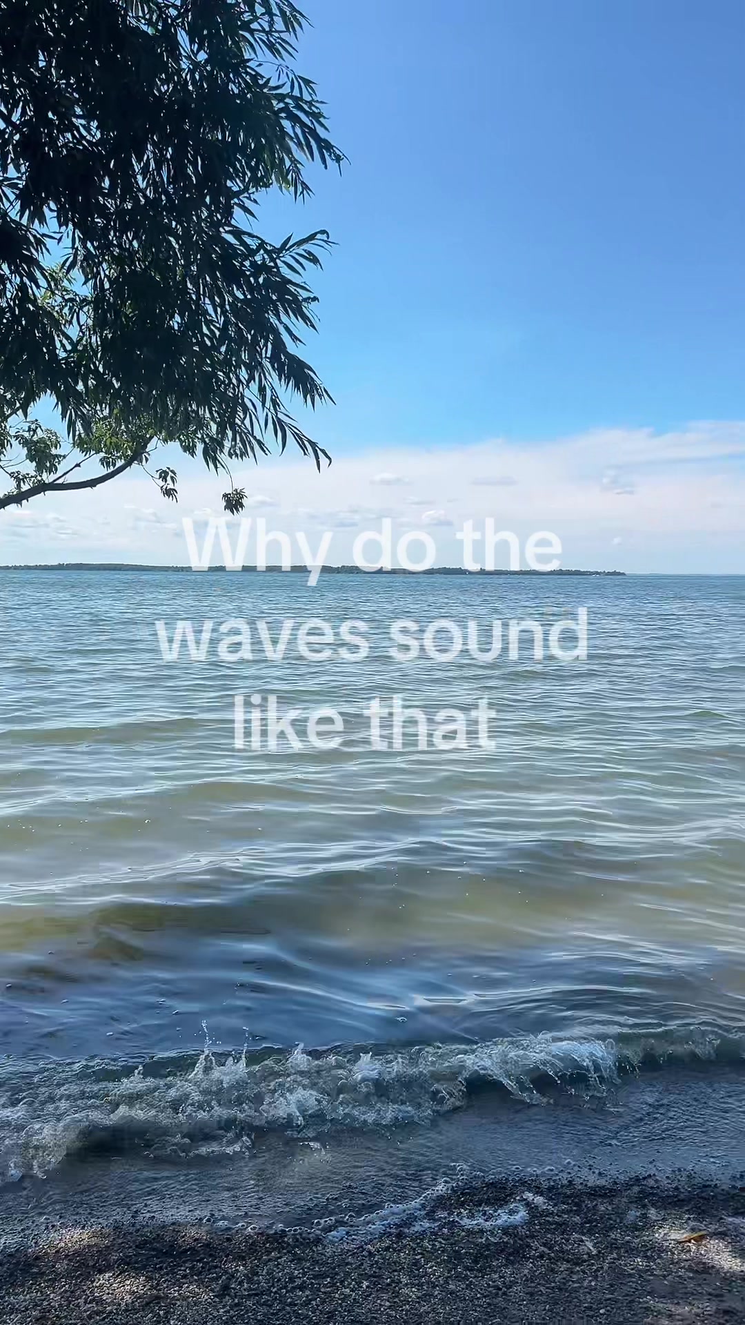 @𝓐𝓵𝓵𝓸𝓻𝓪.💕