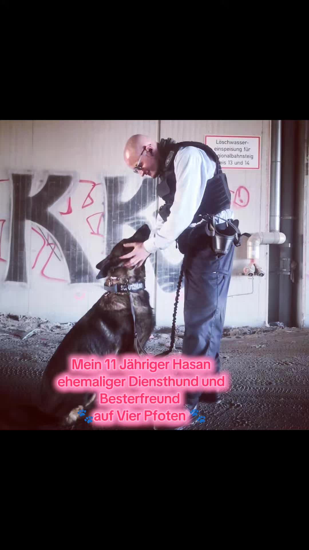 @K9 Palatinus-Unit☑️
