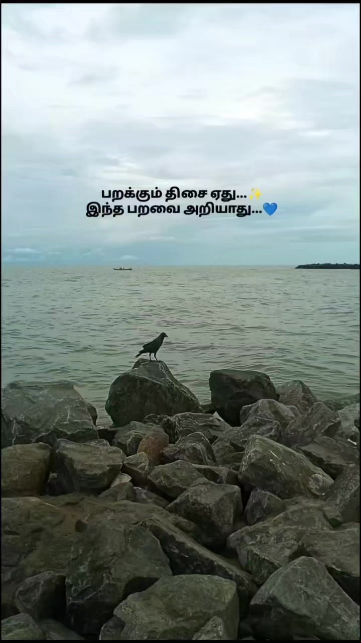 @வணக்கம் நட்ப்புக்களே