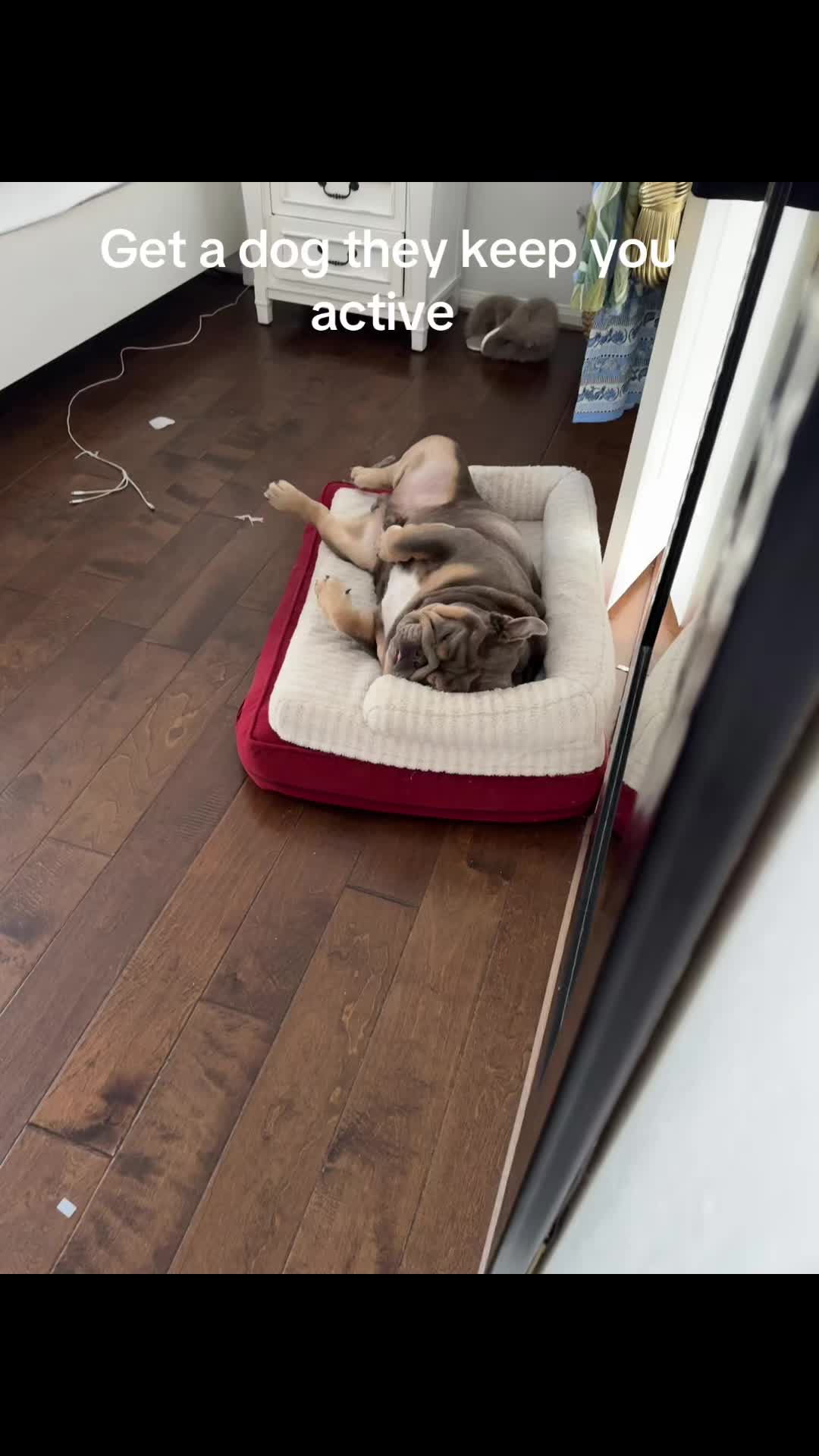 @RawlsTheBulldog