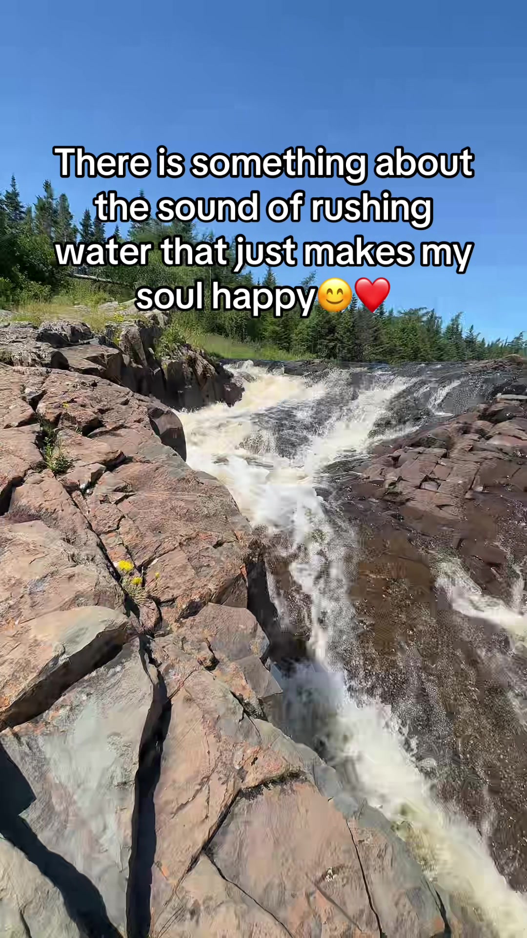 @newfiegirl1709🇨🇦