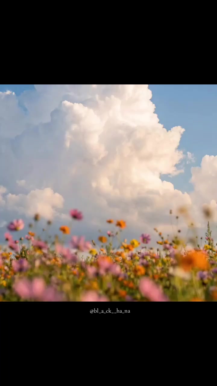 @Ha_Na🌻