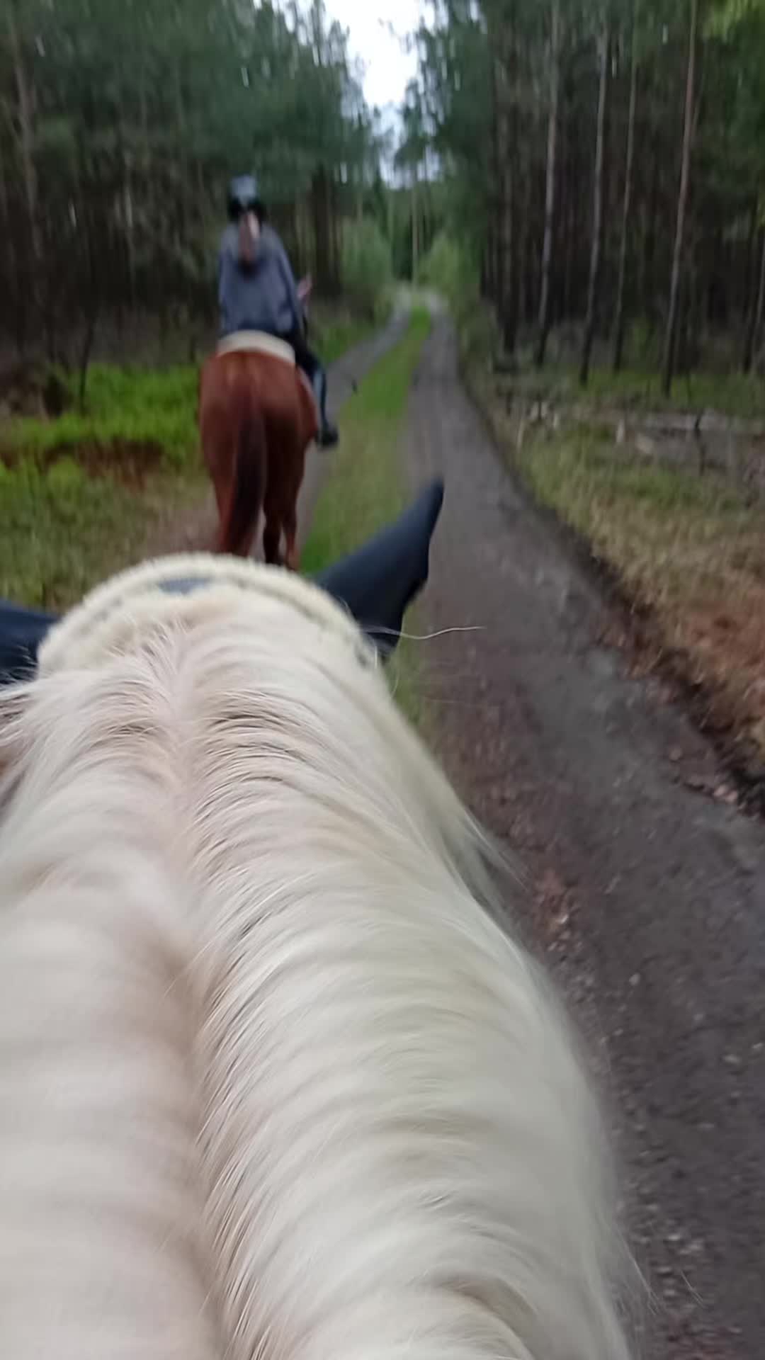 @TA OD KUCYK&Oacute;W🐴🐎