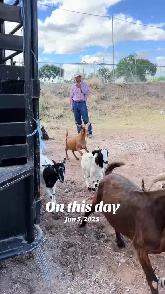 @cowboymax
