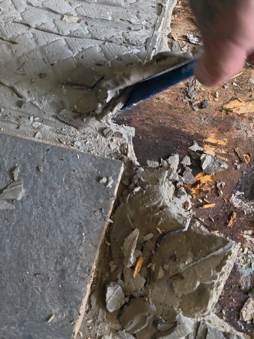 @BWP Construction and Painting