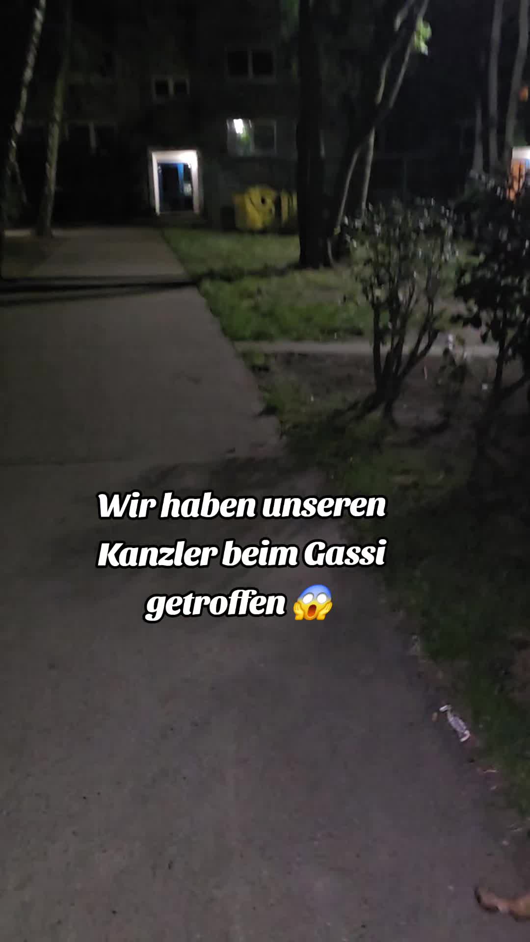@Staffordshiremix Geschwister🐾
