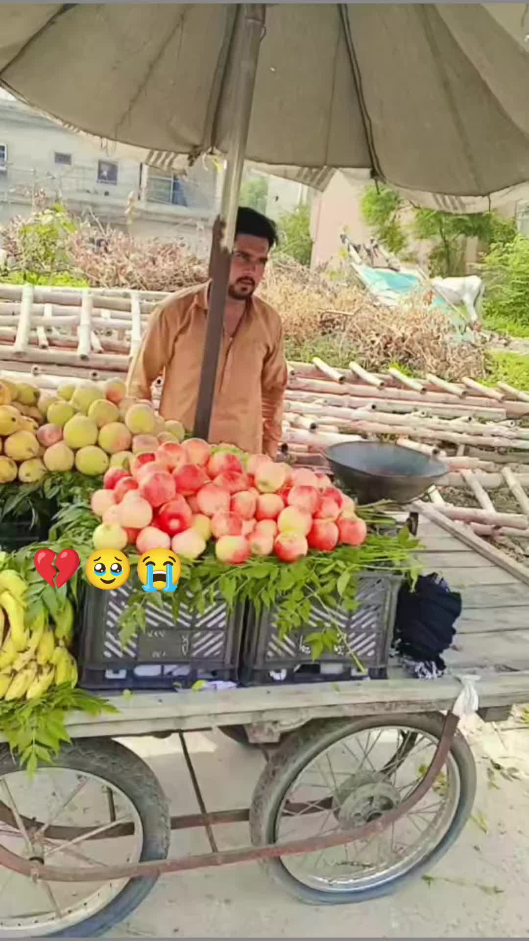 @reddy Waly 751