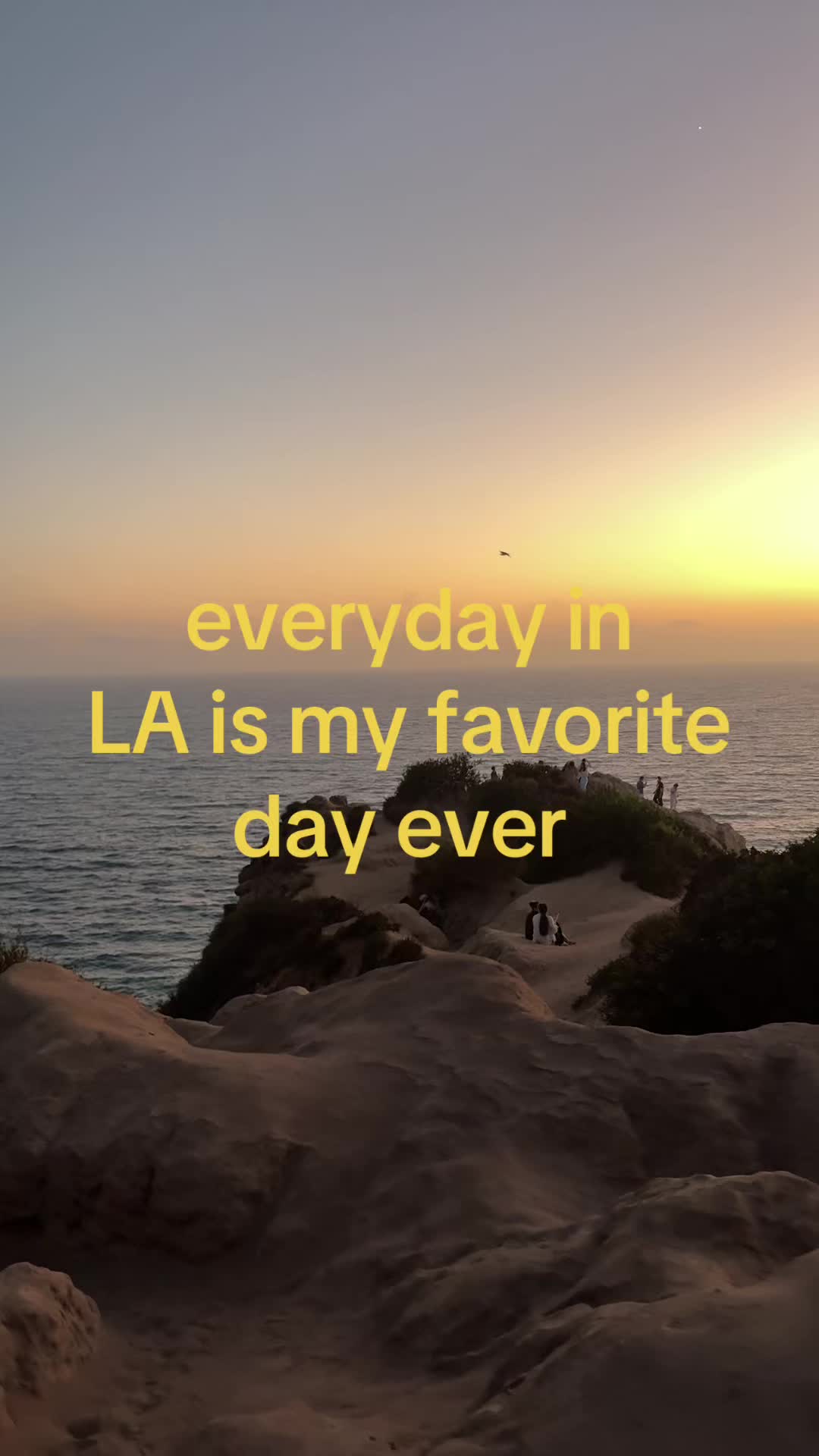 @kayleen438