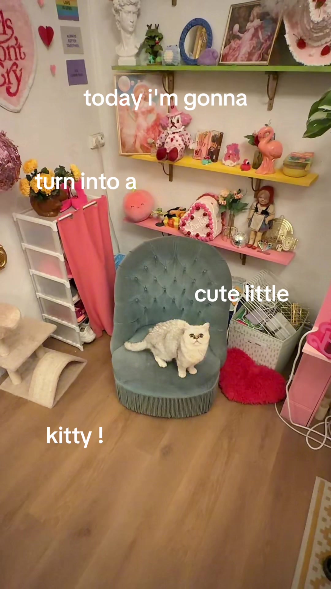 @Lazy Kat