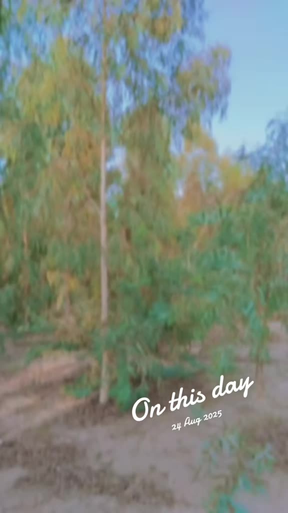 @🔥✨💯AbRar NiHalka🫀🌹