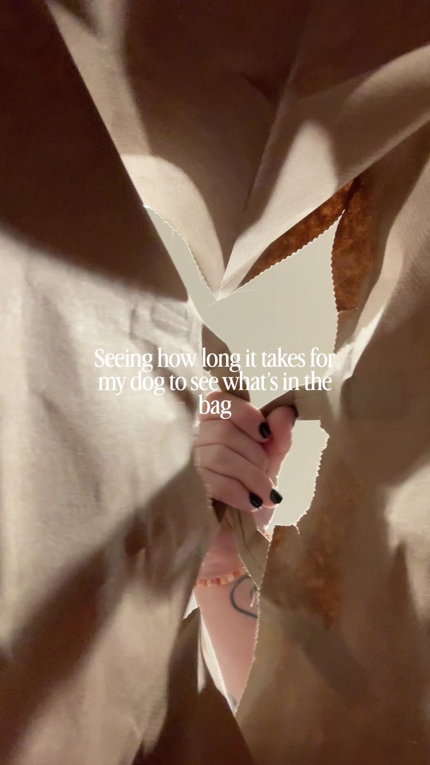 @Ambieee
