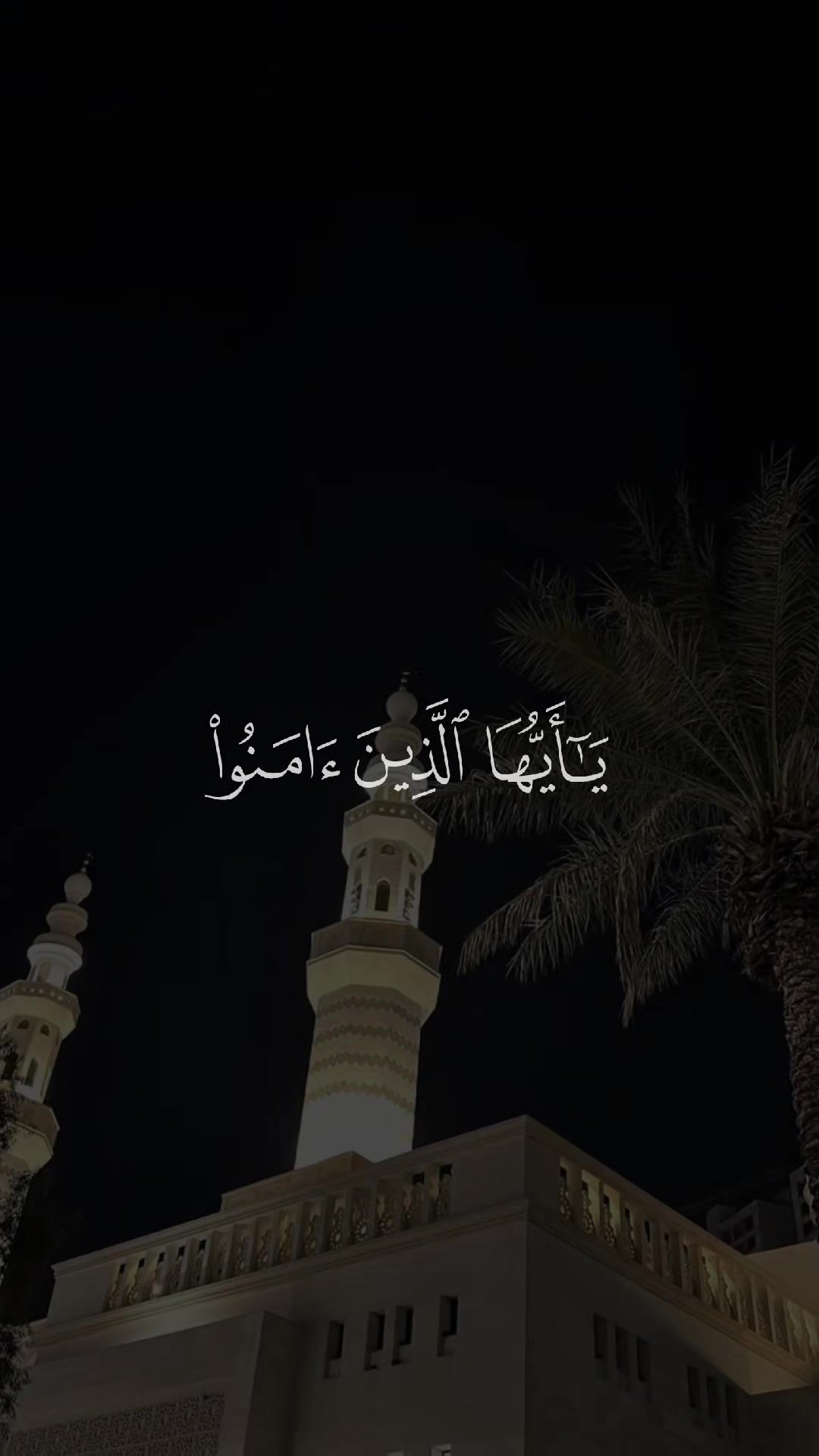 @بـيار خـيرالله ✪