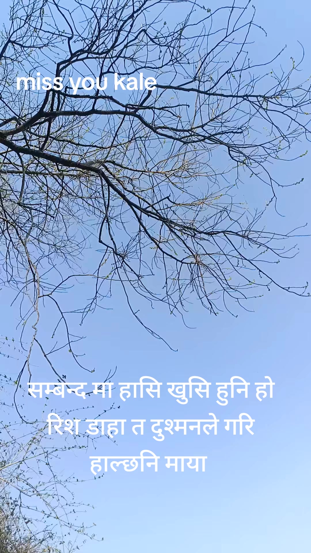 @आयन ठकुरि