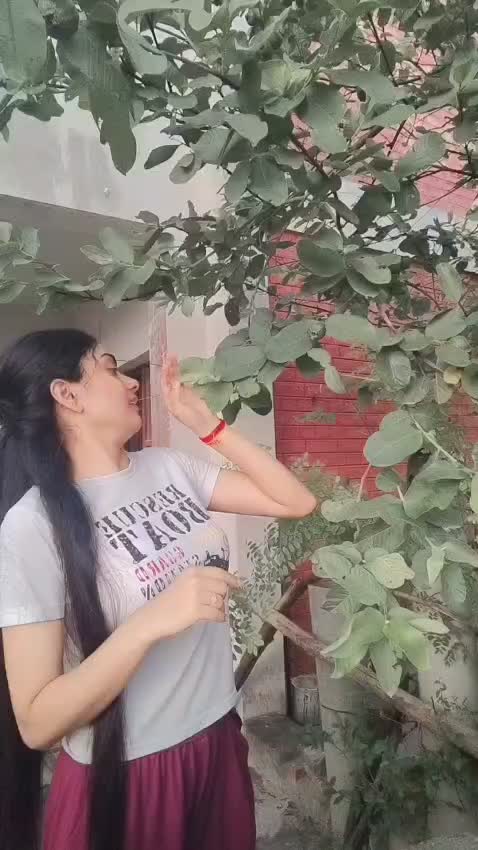 @anita