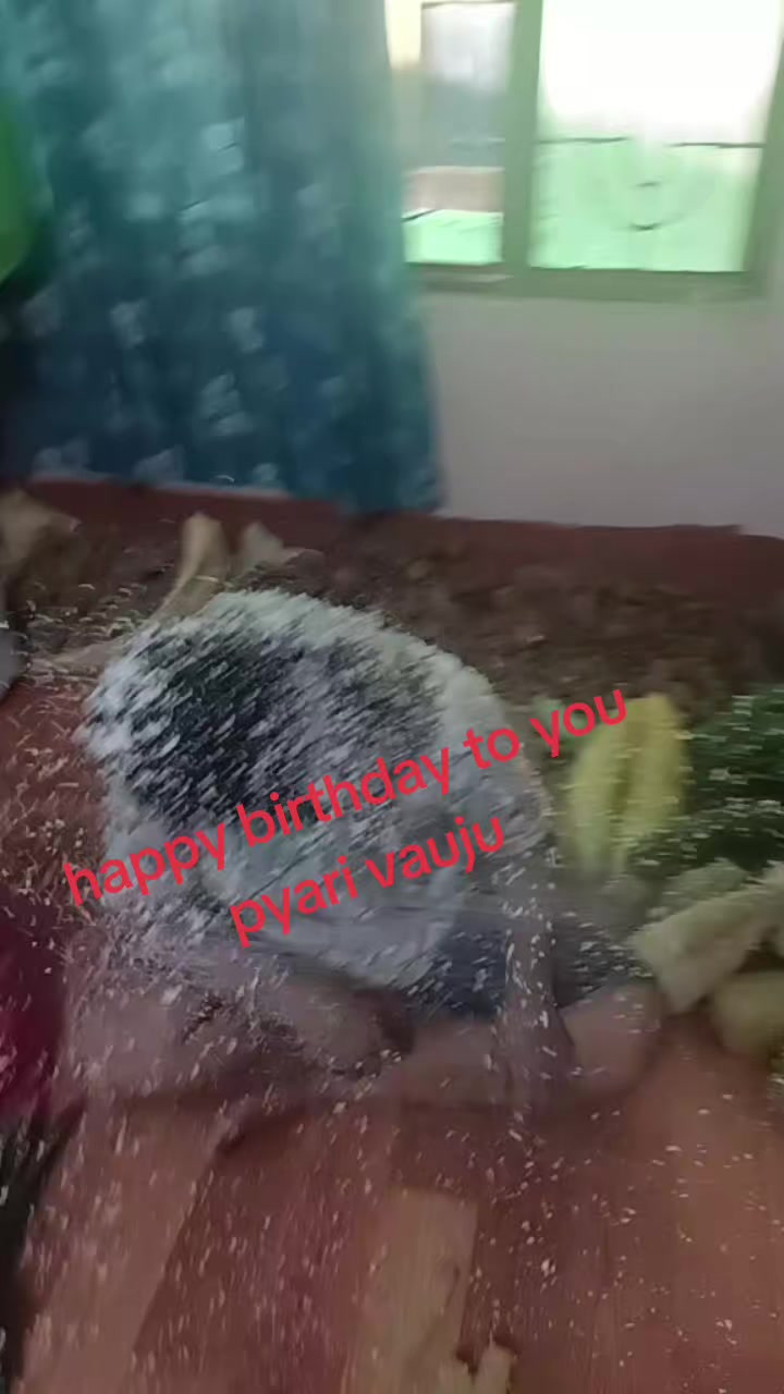 @sangpangni💐🌀